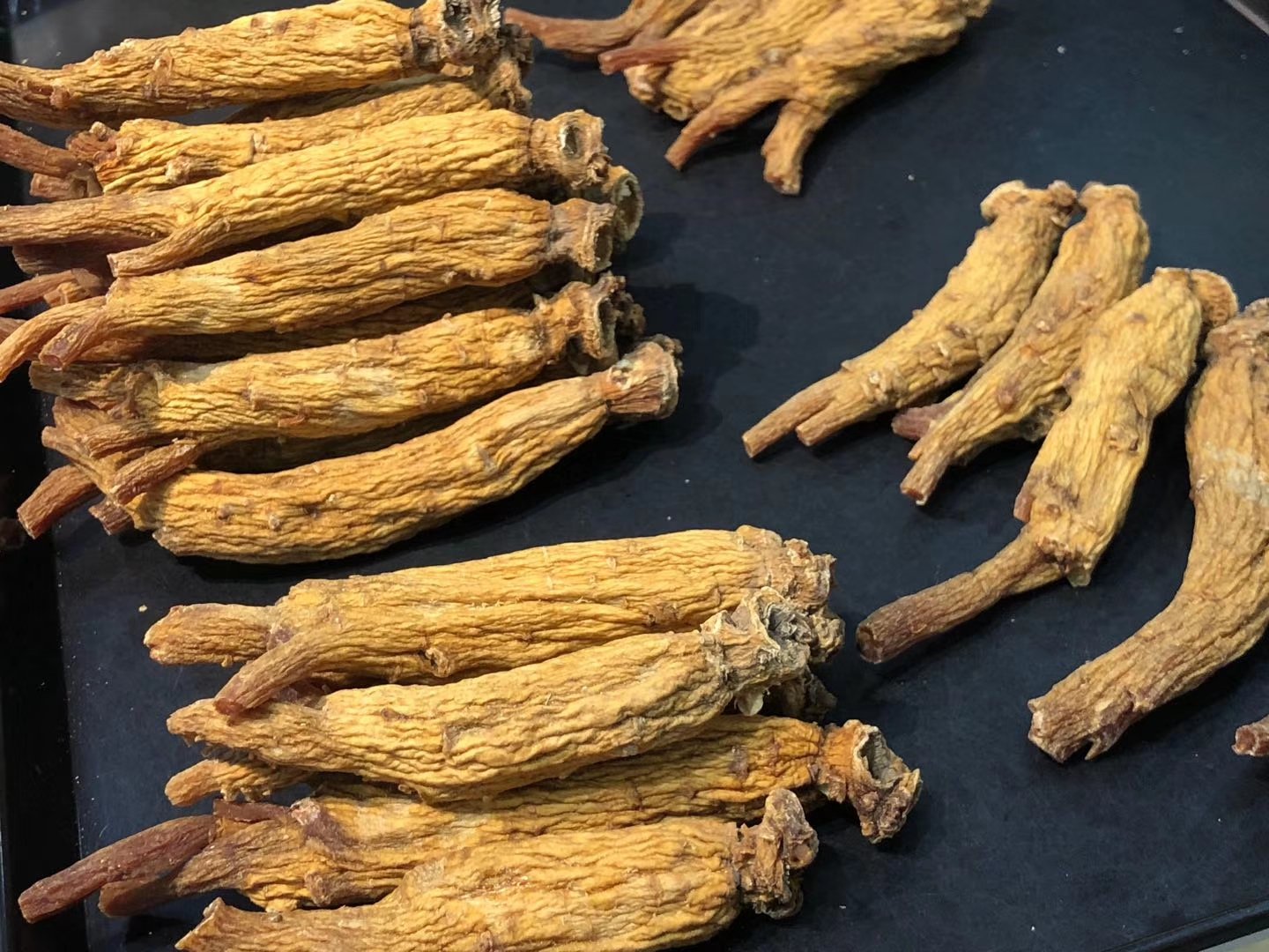 高丽参与西洋参植株对比图