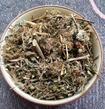 含羞草药用含羞草产地直供道地药材药典标准支持线上交