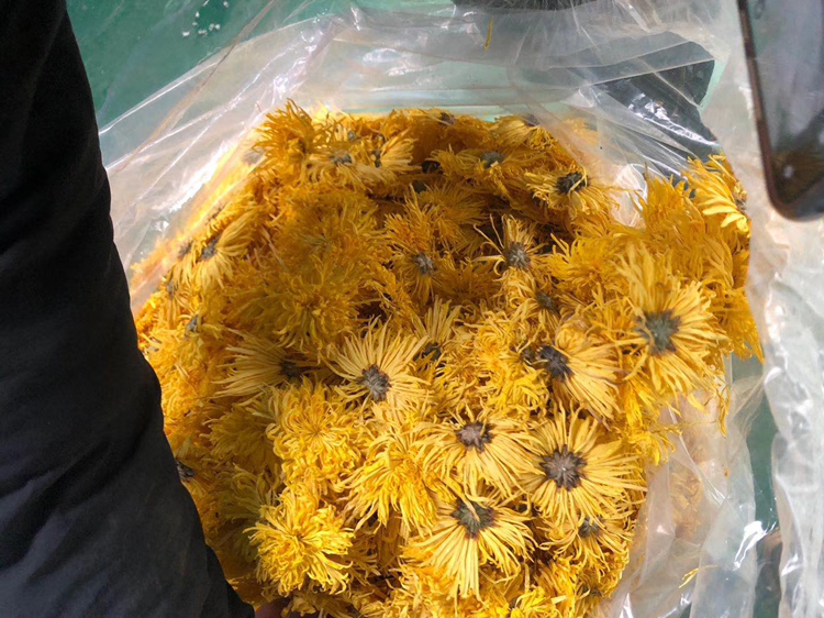 维达雏菊干花与花茶产品展示