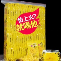 金丝黄菊