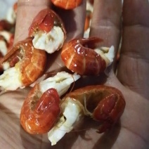 虾尾，鲜虾尾，冻虾尾，虾尾