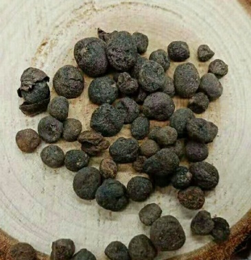 入地珍珠地下明珠产地直供道地药材药典标准支持线上交