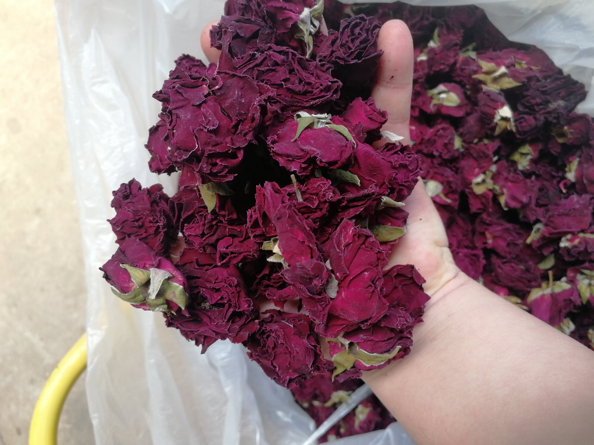 墨红玫瑰  墨红干花 冻干墨红玫瑰  朱墨双辉产地货源