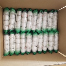 龙口粉丝厂家直销！麻辣烫火锅粉丝！口感爽滑，久煮不糊！