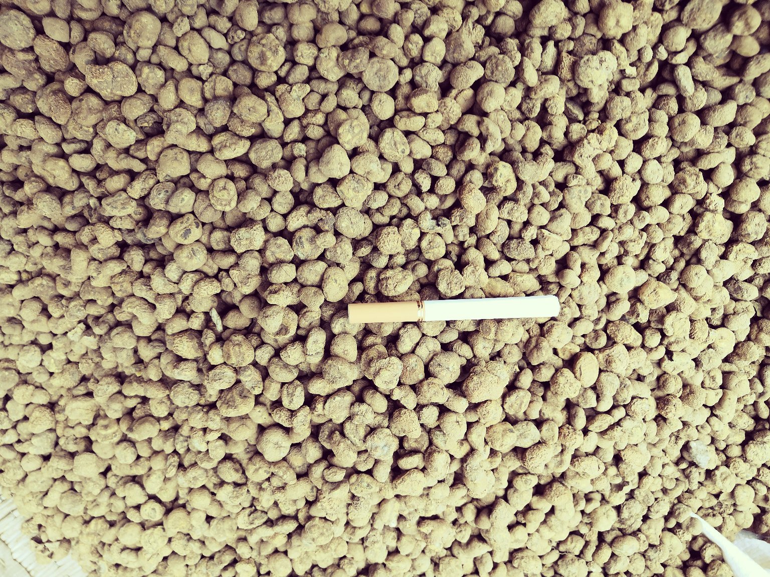 中药饮片对比摄影:桂枝与北柴胡标准饮片并列摆放,突出颜色、形态、断面差异,强调二者在性味归经与功效维度上的互补关系 桂枝饮片与北柴胡饮片并置对比图:左侧为红棕色圆柱形桂枝段,表面有细纵纹与点状皮孔;右侧为黄棕色北柴胡斜切片,断面显纤维性与放射状纹理;两者置于青灰麻布背景上,象征传统中药配伍文化