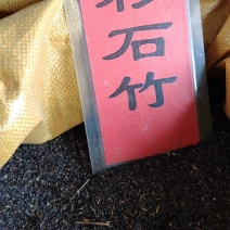 实体种业五彩石竹种子油菜花向日葵麦仙草紫花地丁
