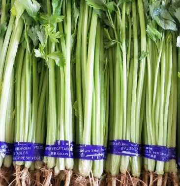 四季小山芹,超市,市场直供