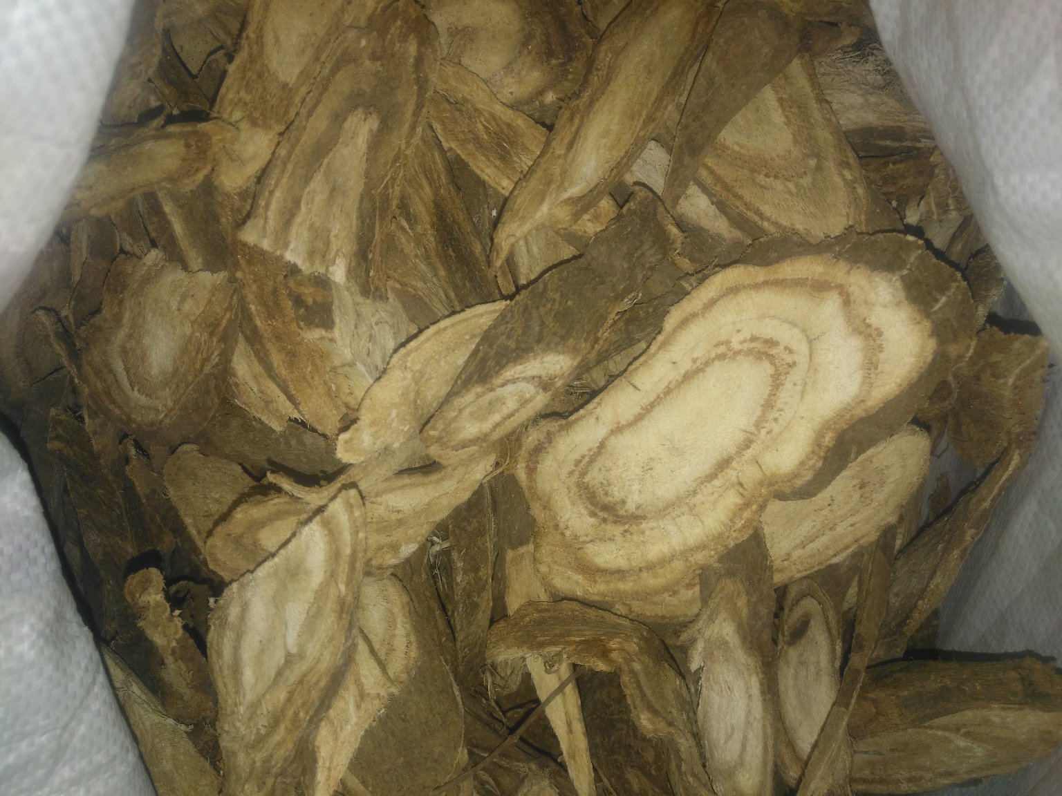 葛根与鬼针草泡水示意图