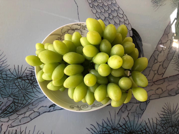 青提与月光下的场景