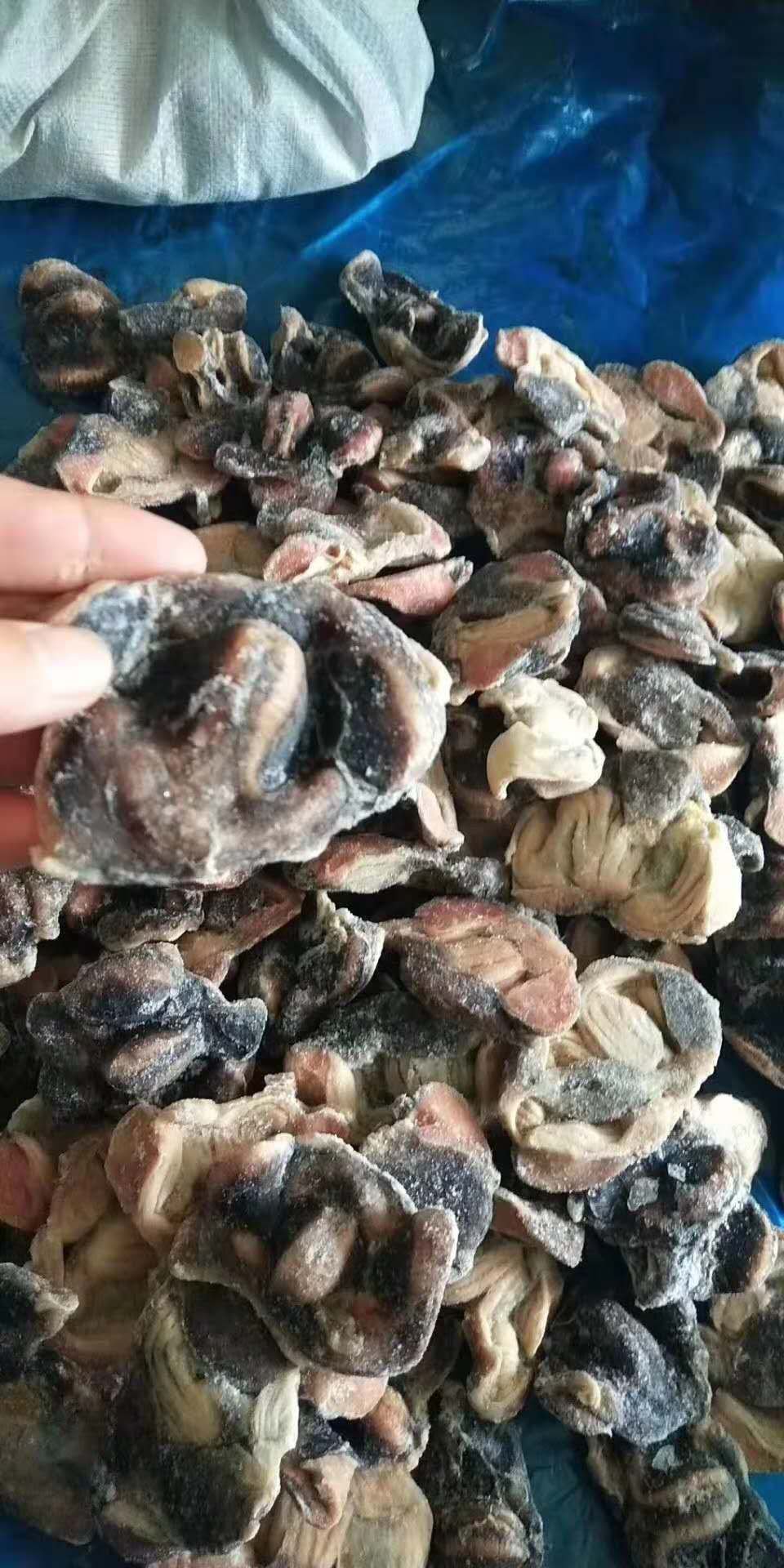 [鸡胗批发]乌鸡胗 带肚鸡胗 无肚净胗价格5.40元/斤 - 一亩田