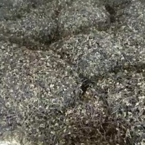 出口级优质蕨菜干精加工天然野生无老化根，无死菜，无烂菜