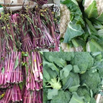红菜苔小叶亮红～西蓝花量大苔红梗粗，可打泡沫箱