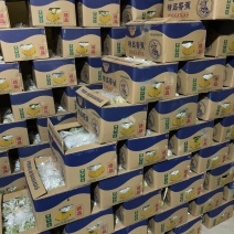 【精品推荐】国产蕉进口蕉都有货量大从优