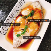 雪鱼