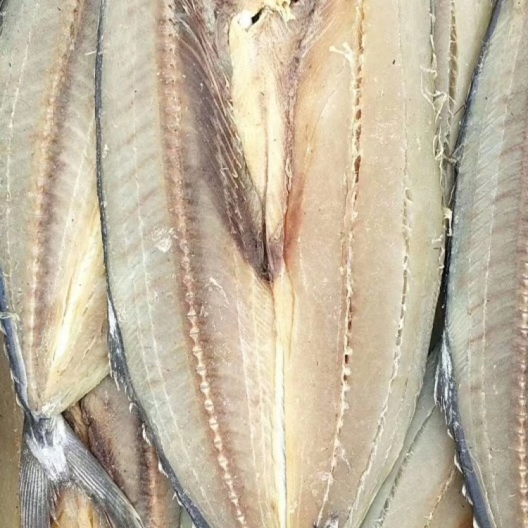 [鲅鱼批发]刀鲅鱼,开背鲅鱼,没有碎刺,肉质劲道,大量有货价格5.