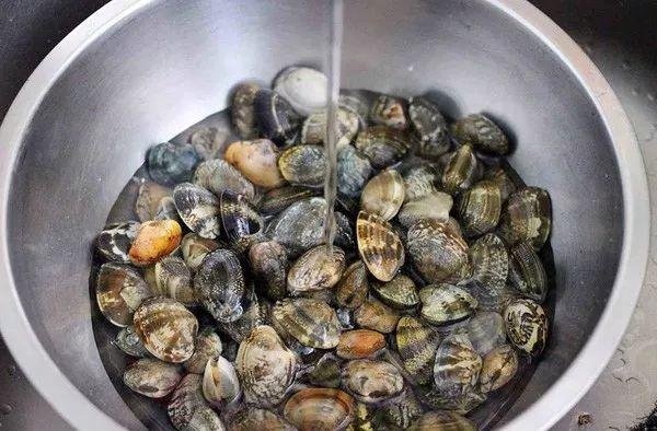 花蛤在清水中吐沙清洗过程,背景为厨房环境 花蛤清洗过程