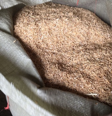 杭州市区圆稻壳袋装不压缩干净稻壳长期出售
