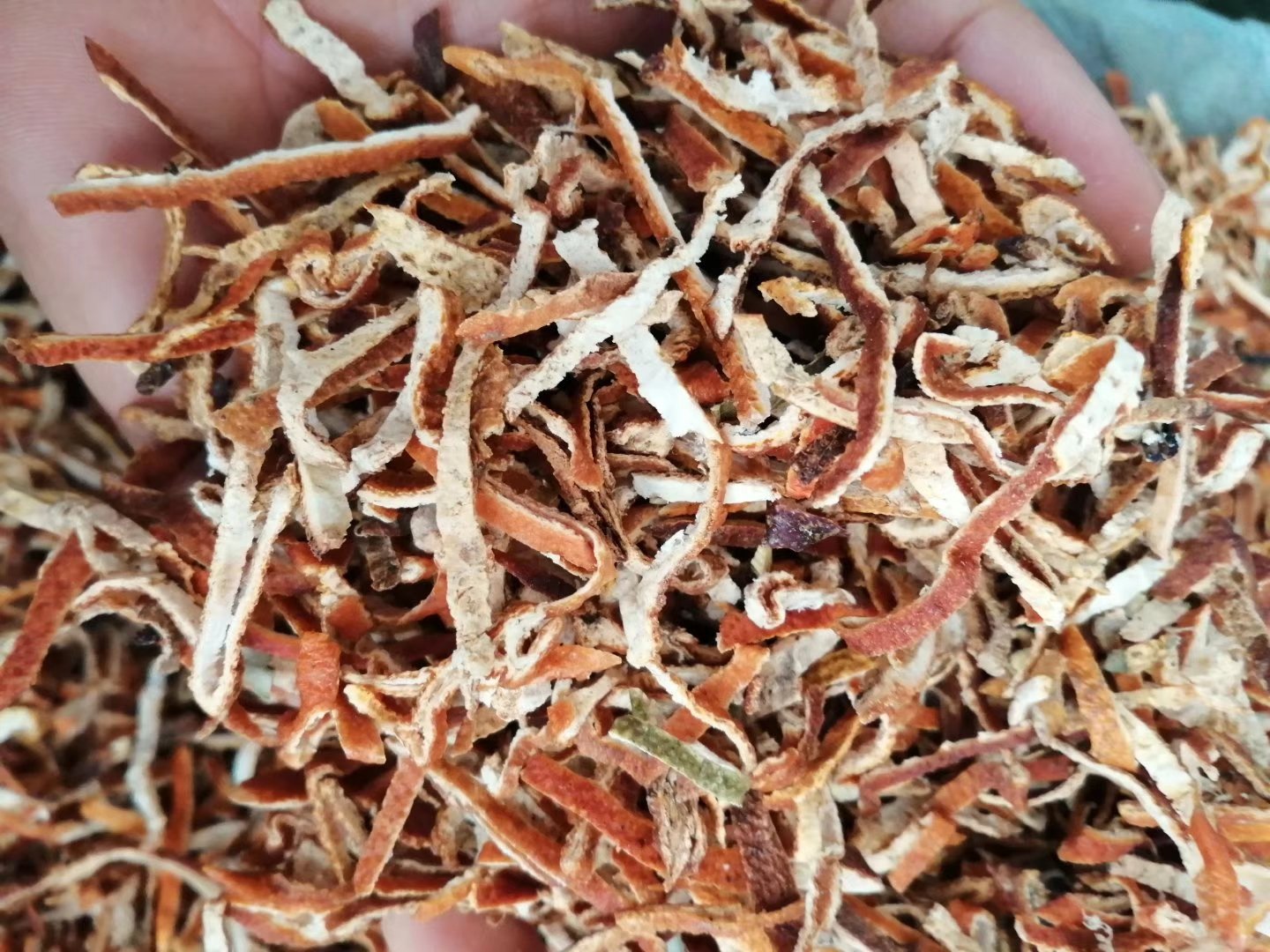 陈皮的外观与用途展示