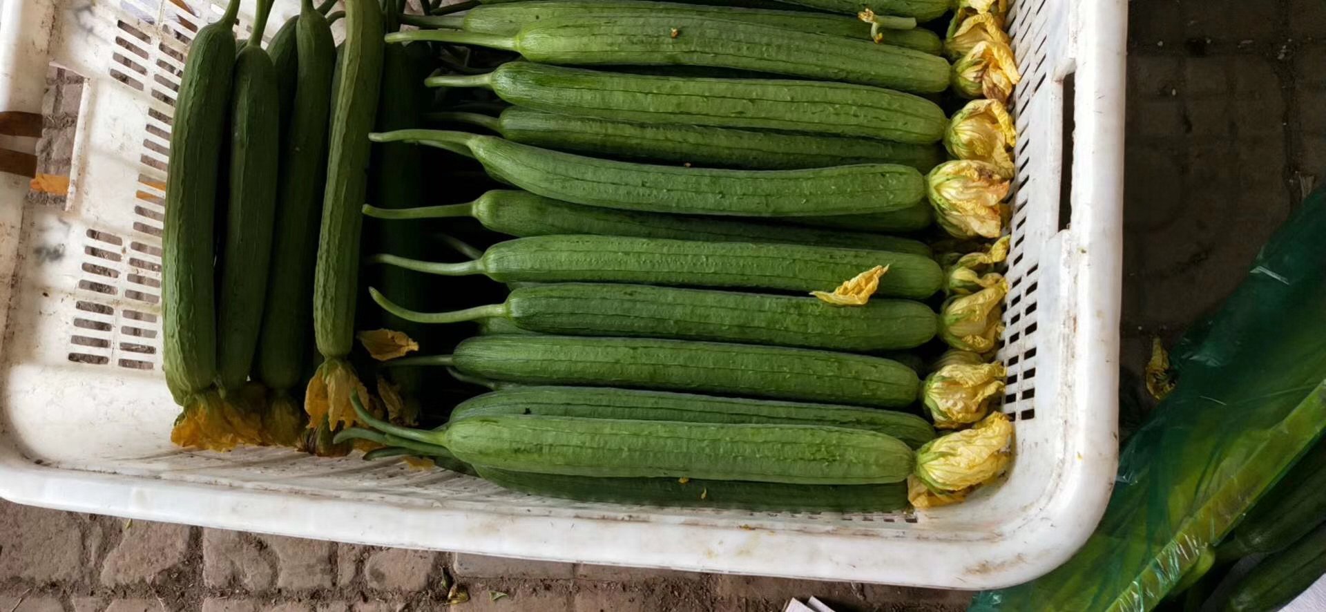 丝瓜熬水成品图