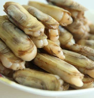 竹蛏刀鲜蛏子 双头蛏子 刀把蛏 鲜活发货 本地货源