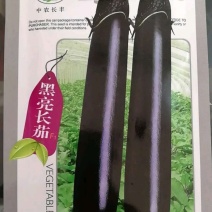 茄子种子优质丰产抗病强适应性广根系发达采收时长