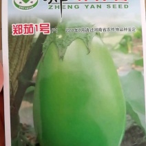 绿茄子种子抗病强单果1斤，亩产万斤商品性好