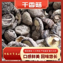 南阳精品4.0cm干香菇/人工筛选/产地直发/量大从优