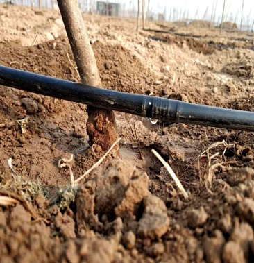 苗木 果树 滴灌 内镶式圆柱滴灌管 亿碧源厂家