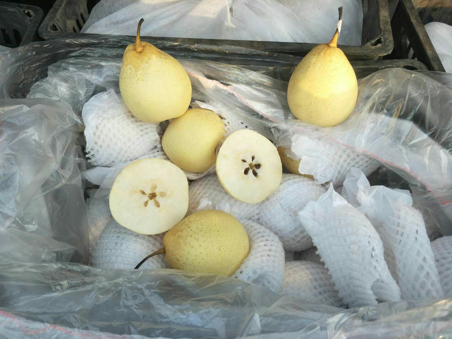 家庭冰箱中正确存放鸭梨的方法