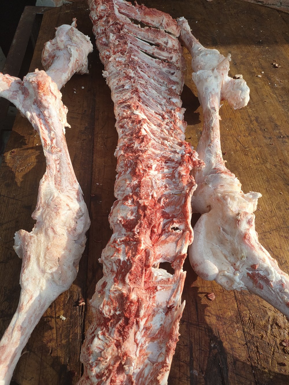 [牛骨头批发]【荐】牛骨 质量保证 可直接来电 也可直接下单价格2.