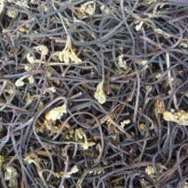 蕨菜干云南高山生态蕨菜干基地直发品质保证全国包邮1