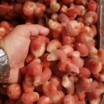 各种级别龙虾尾质优，价美