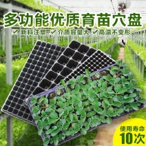 优质加厚多肉牙苗菜培育箱穴盘多肉种植育苗盒育苗盘塑料