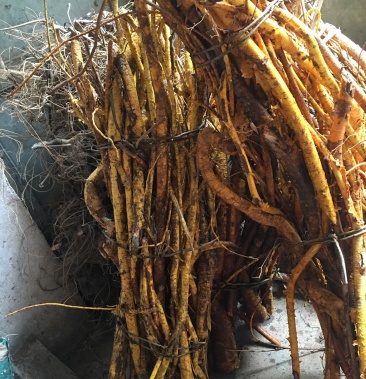 穿破石九层皮黄龙脱壳