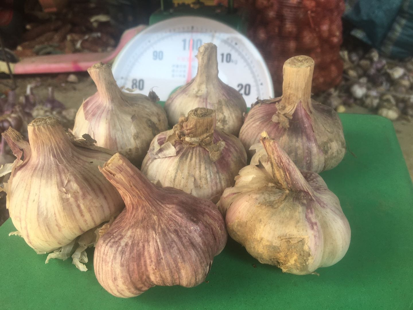 一排不同品种的大蒜样本摆放整齐,包括紫皮蒜、白皮蒜和独头蒜,标签注明产地和大蒜素检测数值,背景为实验室检测仪器 图片描述