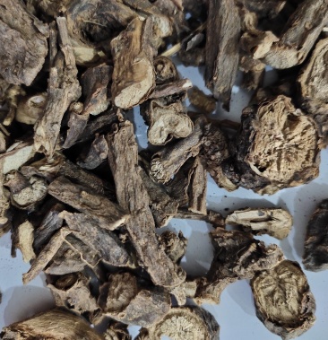 墓回头中药材野生追风箭墓头回灰