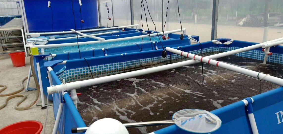 一个典型的对虾养殖土塘在暴雨后水面浑浊,漂浮物增多,池边有明显雨水流入痕迹,增氧机正在运行,水色呈黄褐色,显示水质已发生显著变化 对虾养殖池遭遇暴雨后的水面浑浊情况