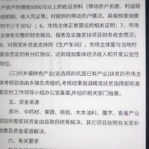 合作意向