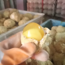 禽畜牧蛋肉河南五香变蛋