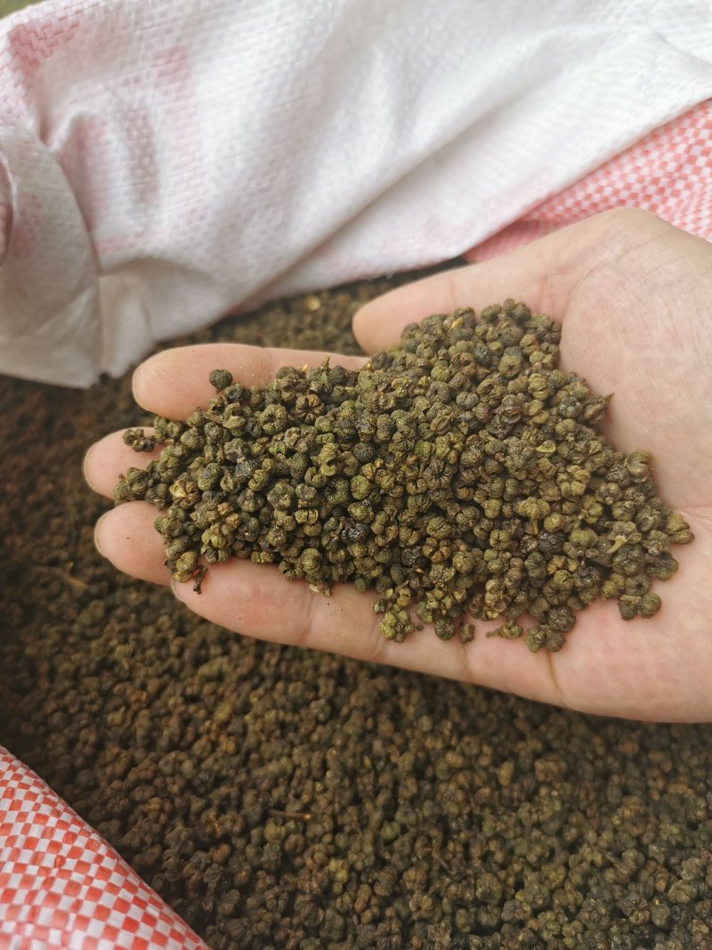 吴茱萸,(茶辣),广西产地一手货出售