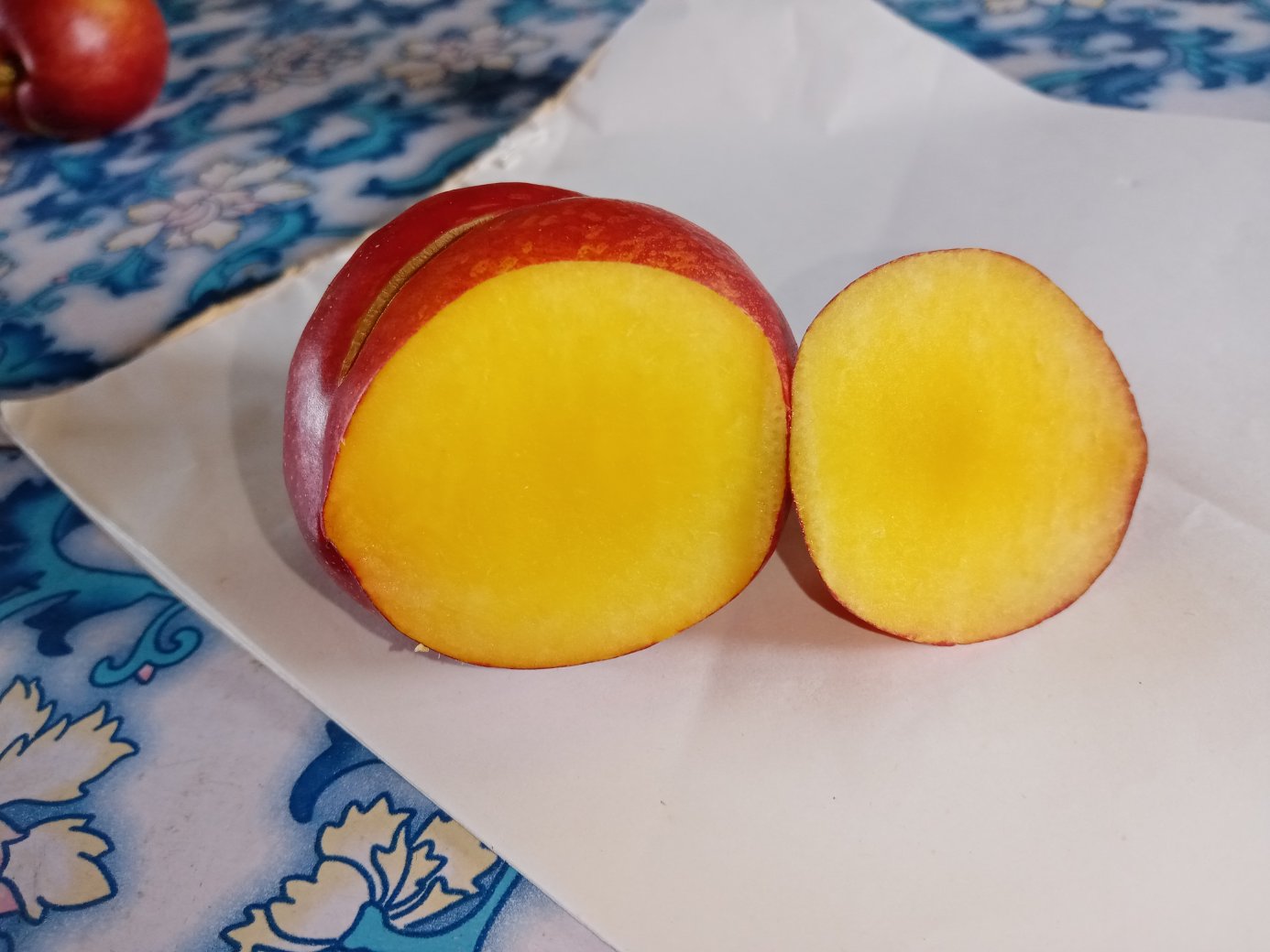 中油12号油桃果实切面展示图