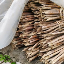 厘竹，