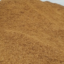 香菇、食用菌杂木木屑