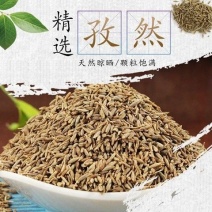 孜然，产地直供新疆道地药材，质优价实，品质保证一公斤起批