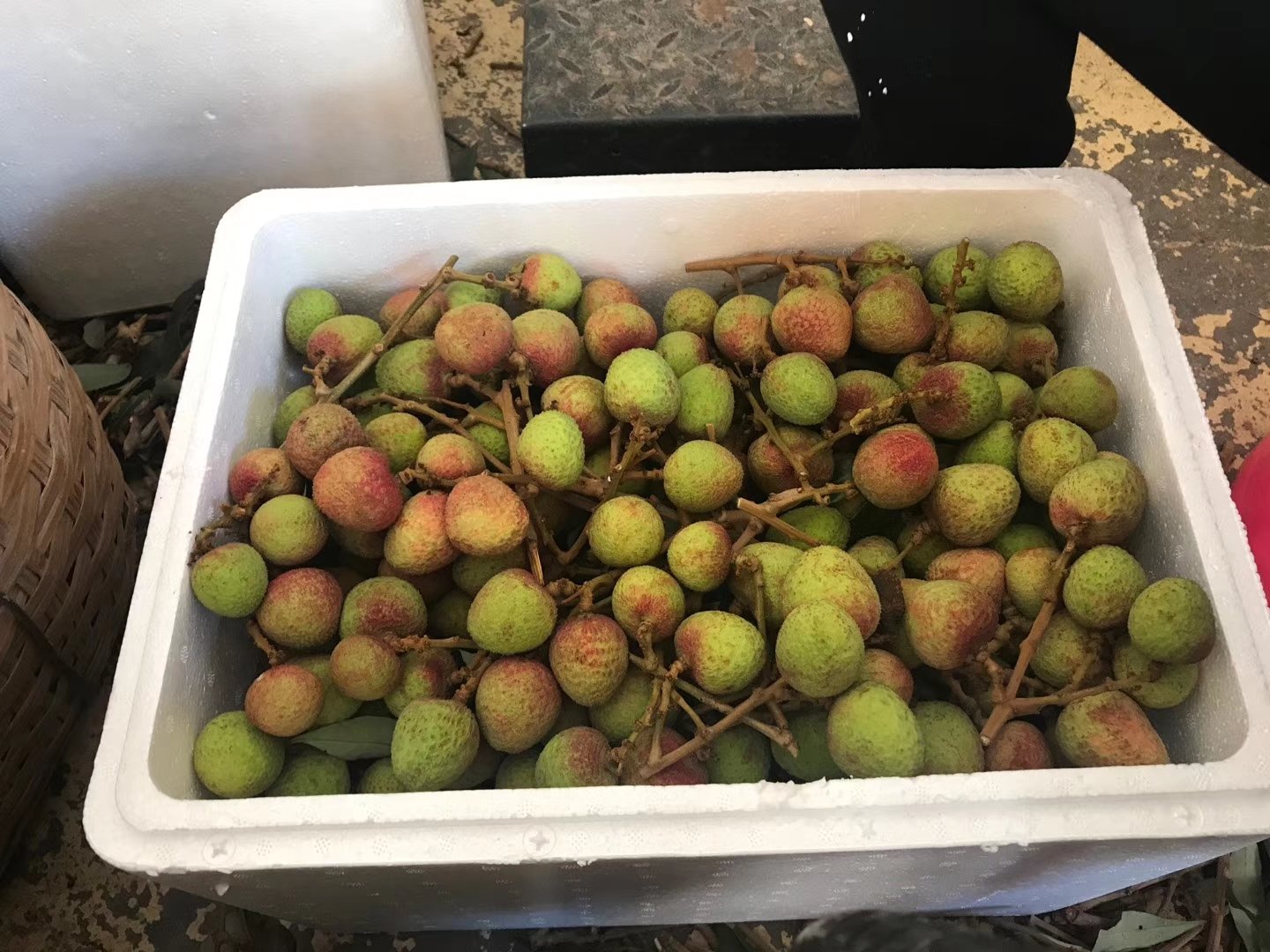 三月红荔枝选购对比图