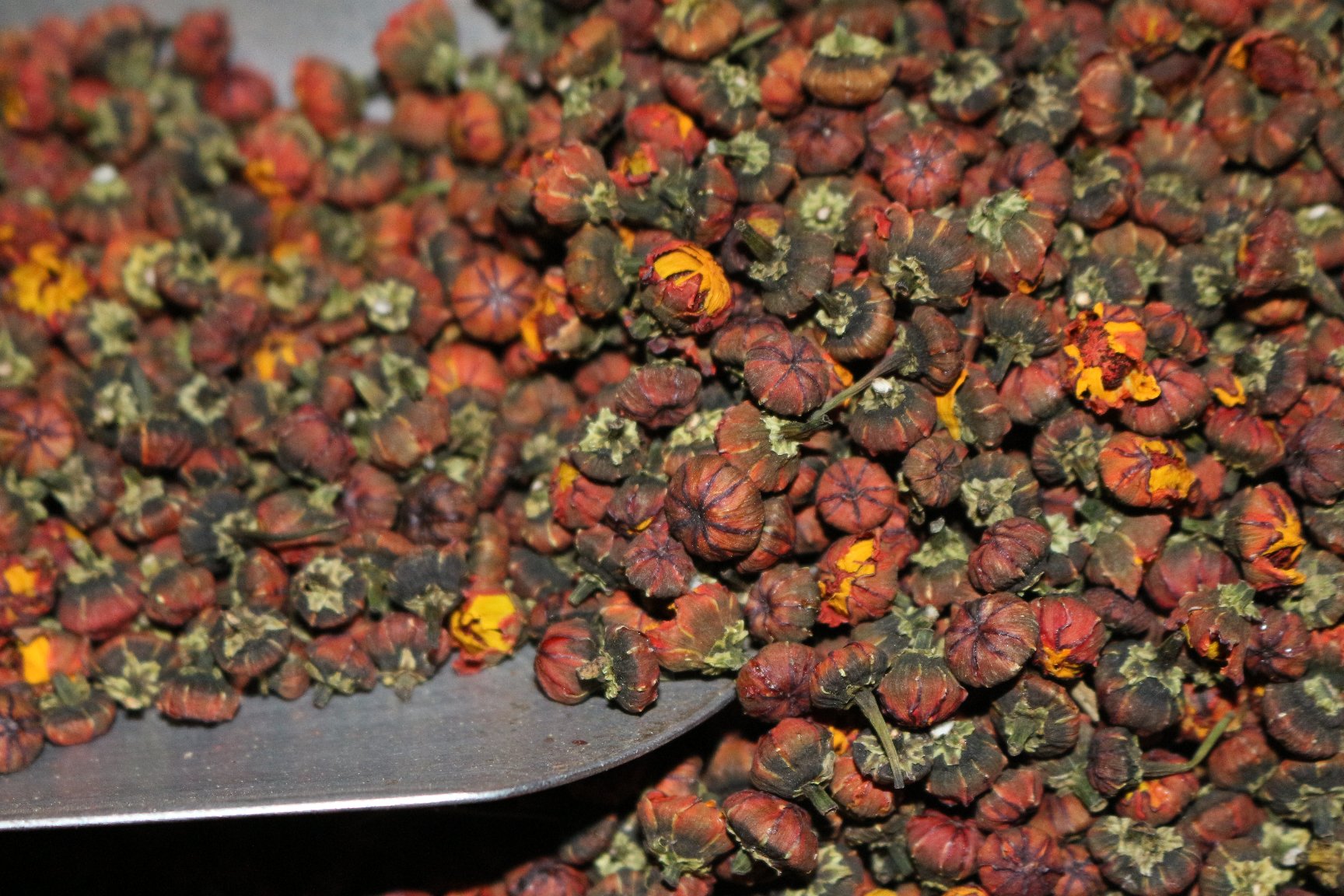 胎菊王与枸杞搭配泡茶