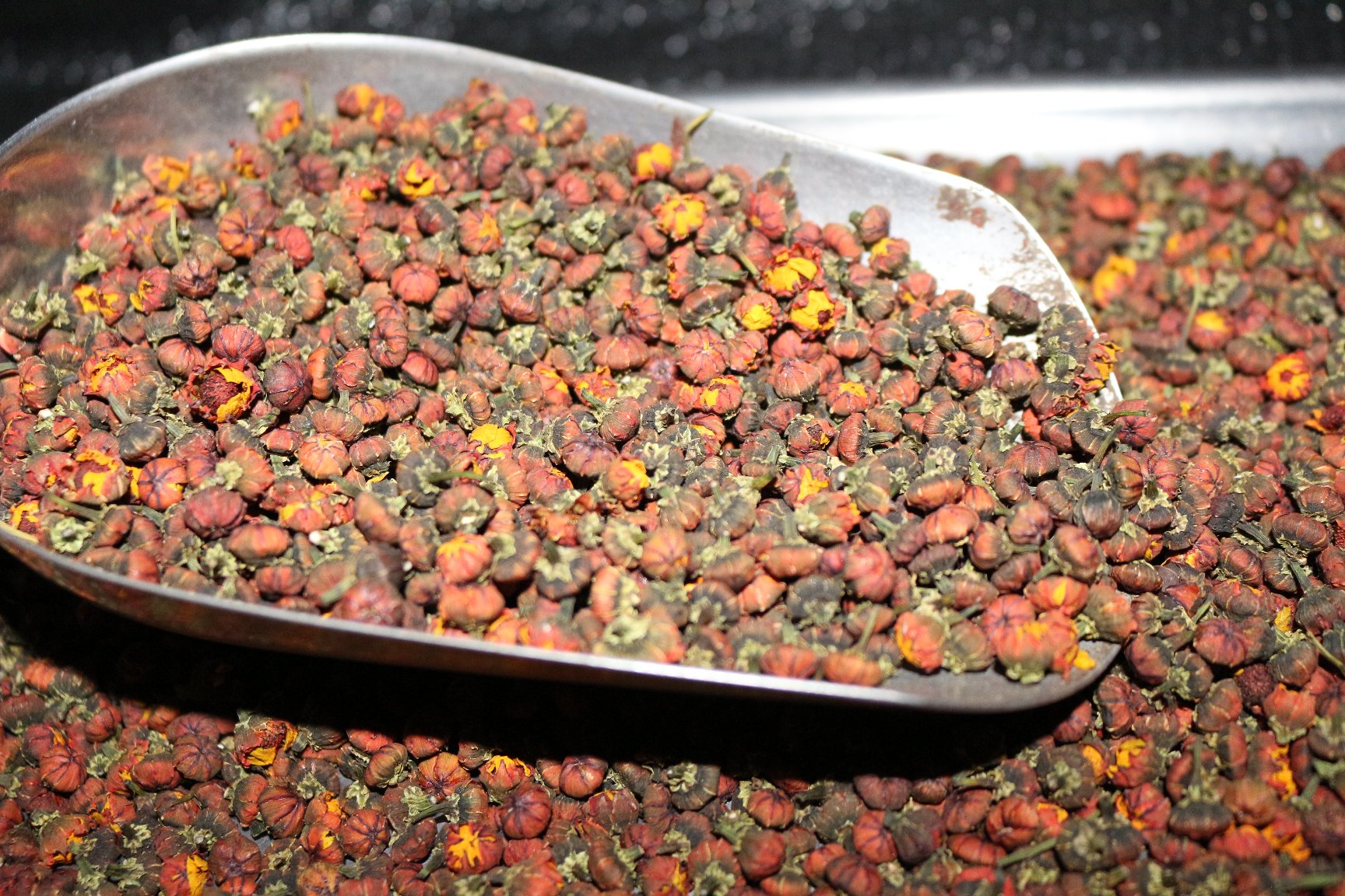 胎菊王与枸杞搭配冲泡图