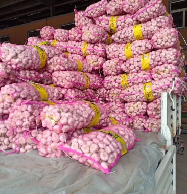 [大蒜批发]2020鲜大蒜价格2.00元/斤 - 一亩田