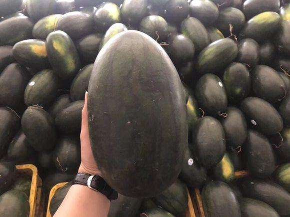 展示一个巨型西瓜在展会上的特写,周围有人围观惊叹 巨型西瓜展示