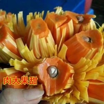 泰国红肉波蜜树苗嫁接干苞红肉黄肉菠萝蜜树苗品种纯正